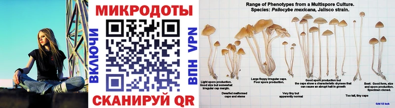 hydra как войти  Горбатов  Галлюциногенные грибы прущие грибы  как найти закладки 